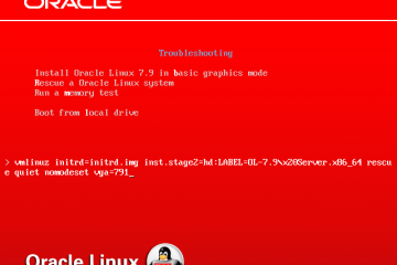 Console de secours Oracle Linux